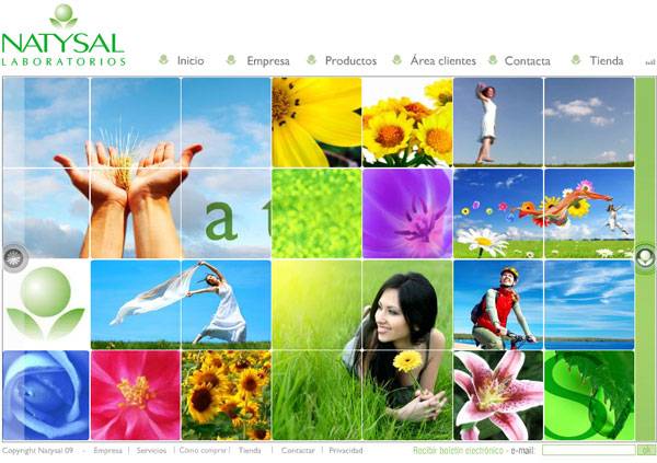Web Natysal