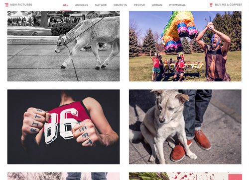 Galería fotos gratis Gratisography