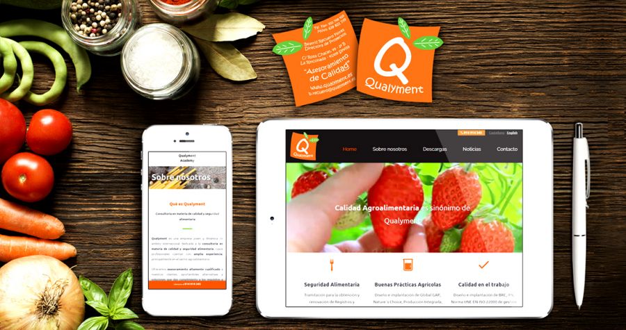 Diseño web Qualyment