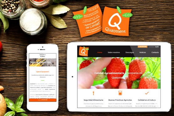 Diseño web Qualyment