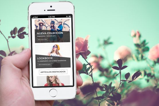 Diseño web Mandarina 