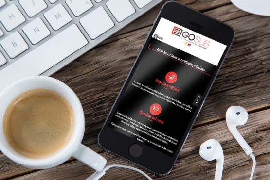 Diseño web Gosub