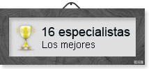 16 profesionales